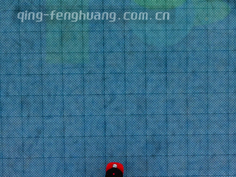 控球率环形图叠加在足球场线图上